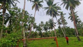 Land for sale in Mag-Aso, Bohol