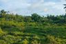 Land for sale in Poblacion, Bohol