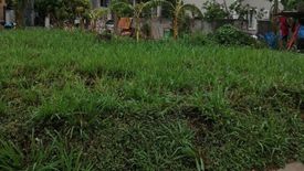 Land for sale in Don Jose, Laguna