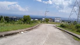 Land for sale in Cadulawan, Cebu