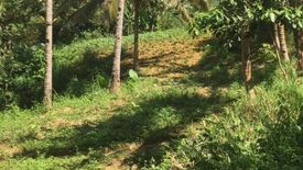 Land for sale in Guimbangco-An, Cebu