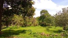 Land for sale in Mangas I, Cavite