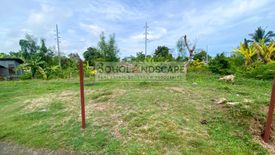 Land for sale in Dao, Bohol