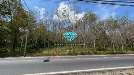 Land for sale in Si Sunthon, Phuket