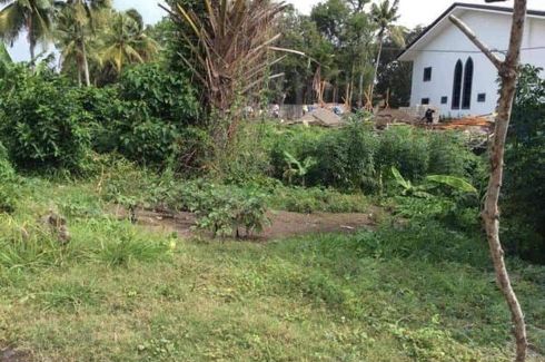 Land for sale in Ibabang Dupay, Quezon