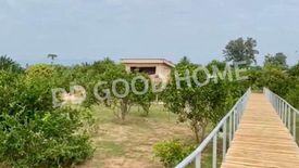 Land for sale in Phra Bat Wang Tuang, Lampang