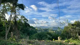 Land for sale in MARIA LUISA ESTATE PARK, Adlaon, Cebu