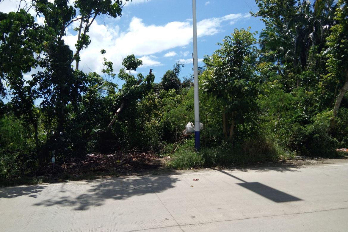 1,375 sq.m TITLED lot for sale located in Dampas, Tagbilaran City