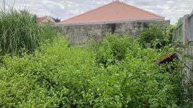 Land for sale in Santa Cruz, Pampanga