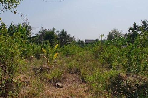 Land for sale in Ban Sing, Ratchaburi