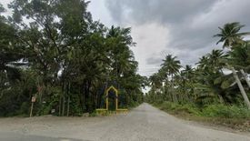 Land for sale in Cabadbaran, Agusan del Norte