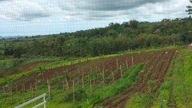 Commercial for sale in Aposkahoy, Misamis Oriental