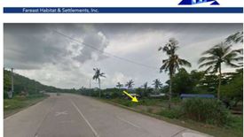 Land for sale in Barangay 91, Leyte