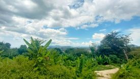 Land for sale in Choeng Thale, Phuket