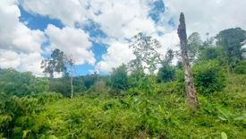 Land for sale in Choeng Thale, Phuket