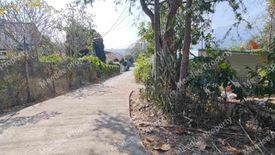 ขายที่ดิน ใน ริมใต้, แม่ริม