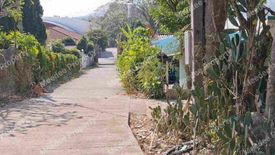 ขายที่ดิน ใน ริมใต้, แม่ริม