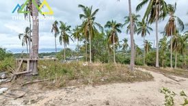 Land for sale in Bo Phut, Surat Thani