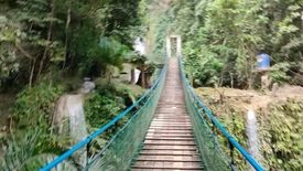 26 Bedroom Commercial for sale in Campangga, Cebu