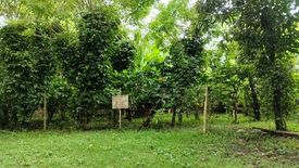 Land for sale in Tabora, Cavite