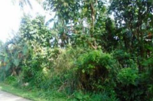 Land for sale in Prinza, Laguna