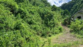 Land for sale in Malubog, Cebu