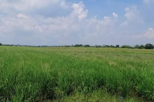 Land for sale in Corazon, Bulacan