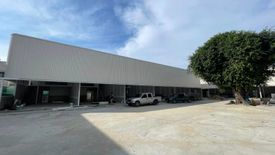 Commercial for rent in Bang Kaeo, Samut Prakan