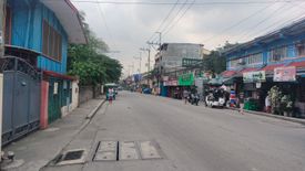 Land for sale in Zapote, Metro Manila