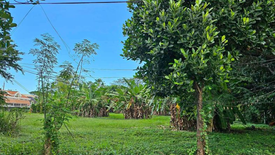 Land for sale in Don Galo, Metro Manila