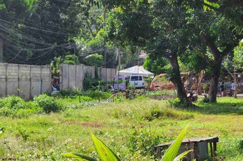 Land for sale in Canamucan, Cebu