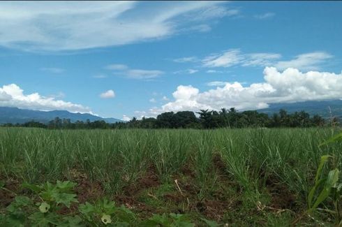 Land for sale in Mailag, Bukidnon
