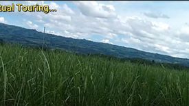 Land for sale in Mailag, Bukidnon