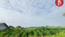 Land for sale in Wang Yang, Kamphaeng Phet
