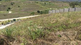 Land for sale in Talamban, Cebu