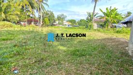 Land for sale in Camanjac, Negros Oriental