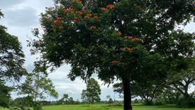 Land for sale in Canlubang, Laguna