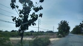 Land for sale in Nong Irun, Chonburi