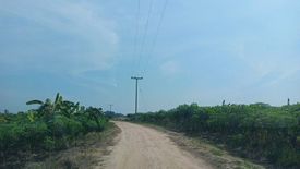 Land for sale in Nong Irun, Chonburi