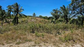 Land for sale in Ubaub, Cebu