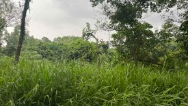 Land for sale in Santa Cruz, Rizal