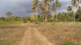 Land for sale in Mangas I, Cavite