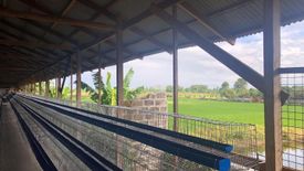 Land for sale in Kaledian, Pampanga