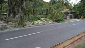 Land for sale in Canangca-An, Cebu