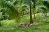Land for sale in Lubo, Rizal