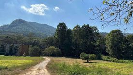 Land for sale in Ban Pong, Chiang Mai