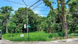 Land for sale in New Alabang Village, Metro Manila