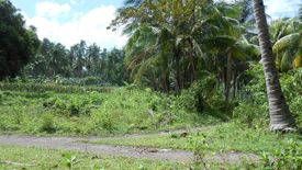 Land for sale in Liptong, Negros Oriental