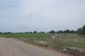 Land for sale in Ban Chang, Pathum Thani