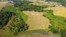 Land for sale in Kabasagan, Davao del Sur